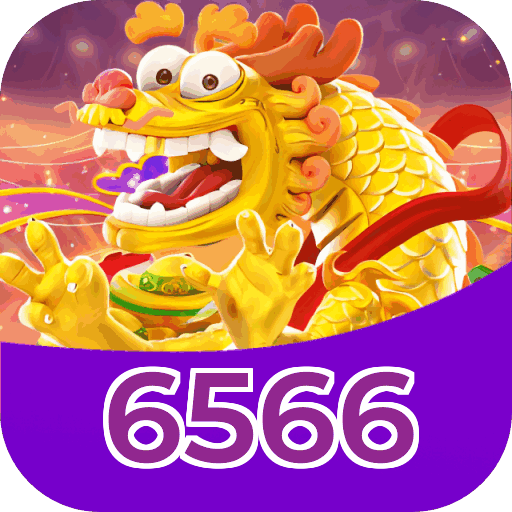 6566